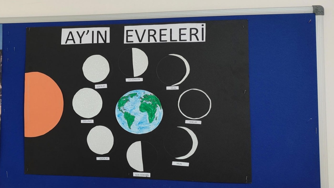 Ay' ın Evreleri